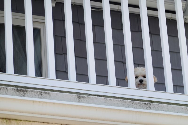 Fence Railing Replacement