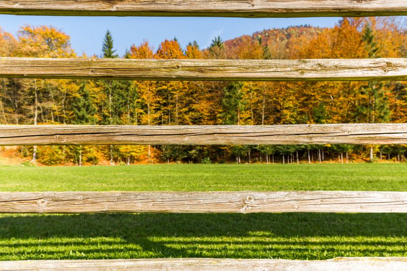 Fence Inspection in Fall